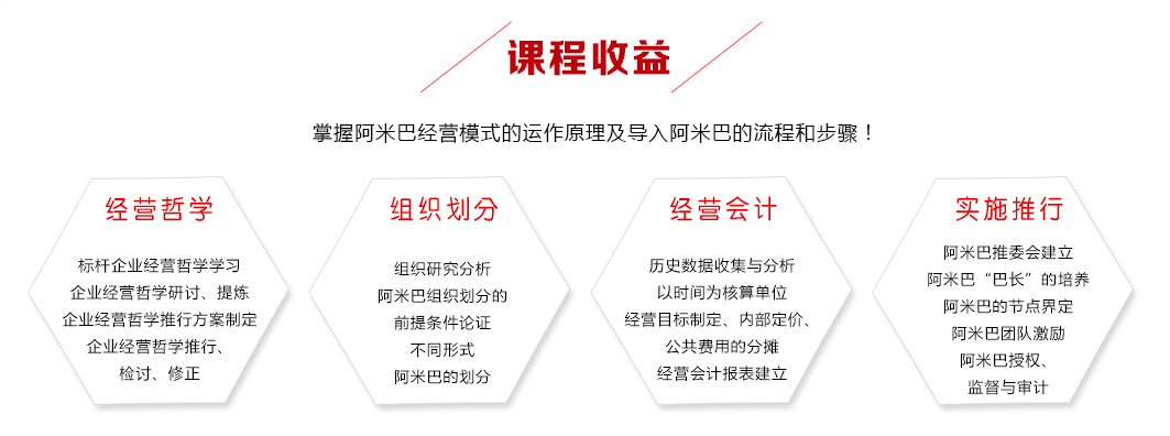 阿米巴经营咨询方案班-人人成为经营者-中国式阿米巴实施 指南 阿米巴 咨询模式