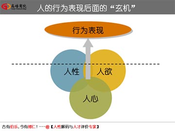 企业管理培训核心课程——打造企业组织系统