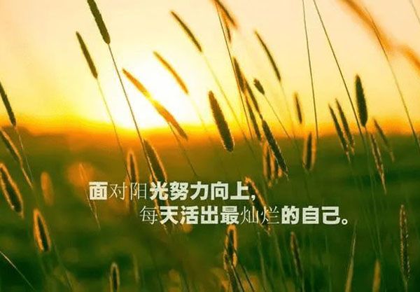 《赋能团队正能量》--打造高效团