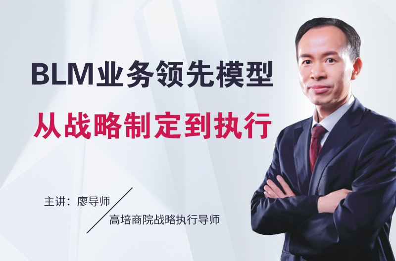 BLM业务领先模型从战略制定到执行