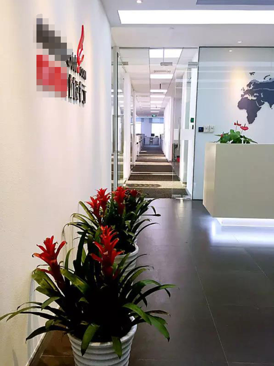 上海某国际旅行社有限公司