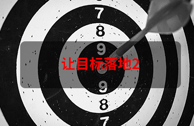 让目标落地2