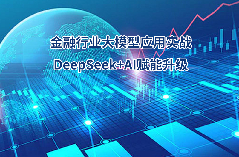 金融行业大模型应用实战：DeepSee